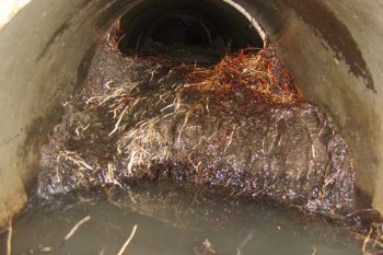 Drainage issues