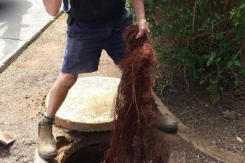 Drain Blockage Canberra